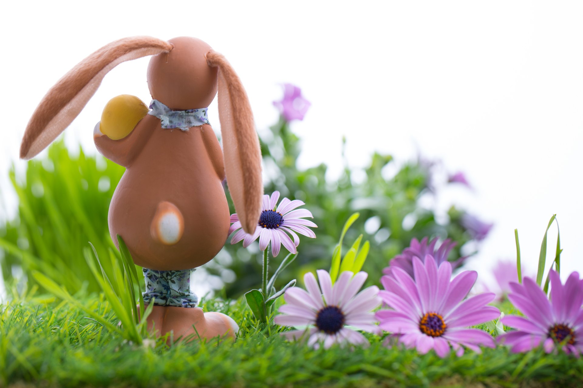 pasqua uova uova di pasqua pasqua