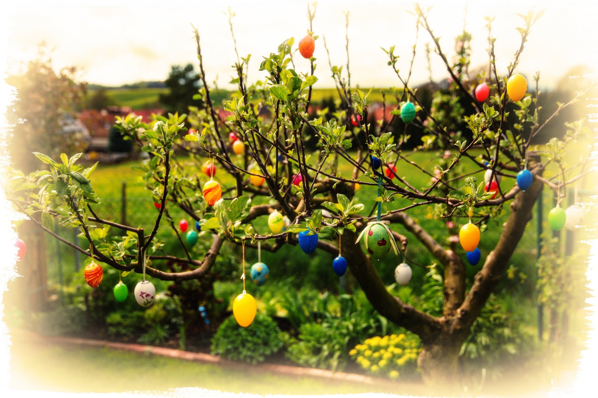 easter eggs branches leave