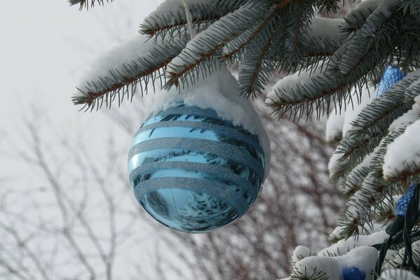 Blaue Kugel hängt am Weihnachtsbaum