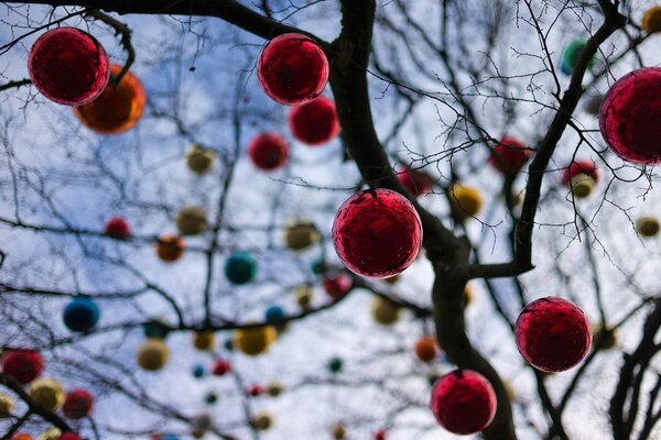 Albero nel giardino appeso palle di Natale