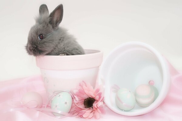 Easter bunny in a pot with a flower