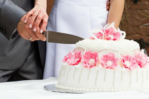 The bride and groom cut the wedding cake