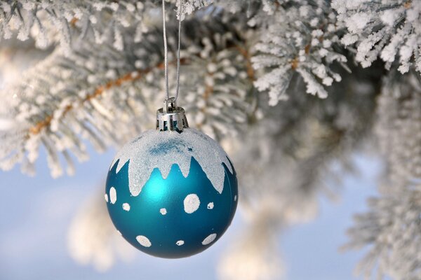 Décoration de Noël sur une branche d épinette