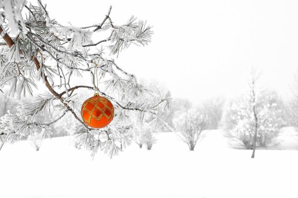 Decoración navideña en un abeto cubierto de nieve