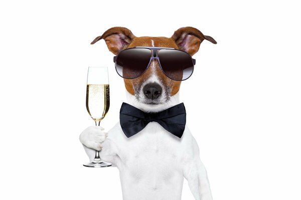 A dog with dark glasses and a bow tie holds a glass of champagne