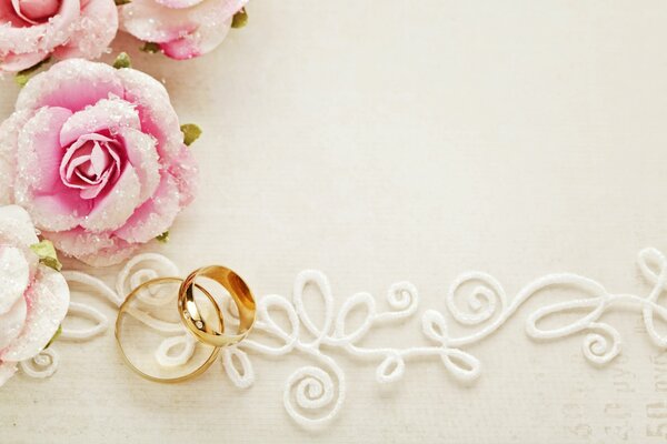 Hochzeitsringe auf weißem Hintergrund mit rosa Rosen