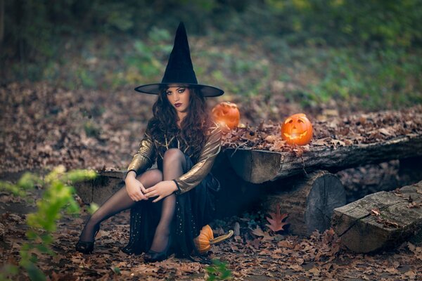 Alle Bekannten lieben Halloween und bereiten sich darauf sorgfältig vor