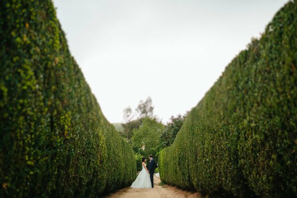Verliebter Mann und Frau im Garten