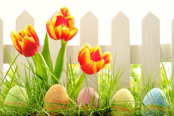 Uova di Pasqua in tulipani