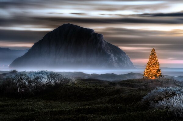 Christmas tree on the background of a gloomy rock