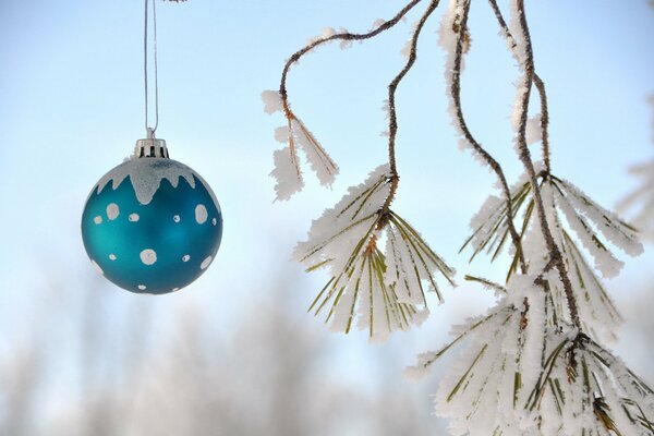 Primo piano di palla di Natale su un ramo