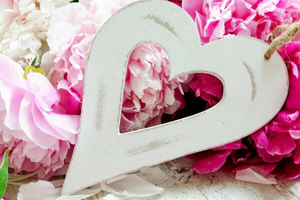 Beau coeur sur les fleurs