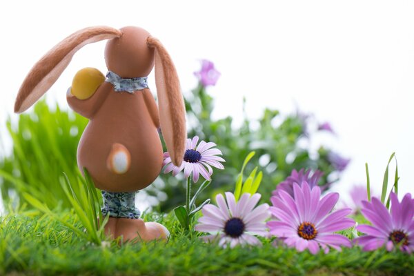 Lapin pamhalny sur la Prairie avec des fleurs