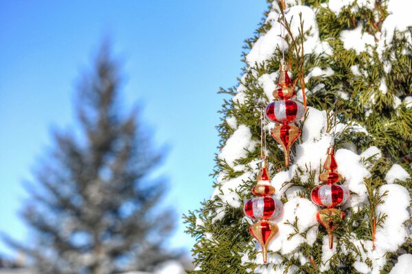 Sapin de neige élégant