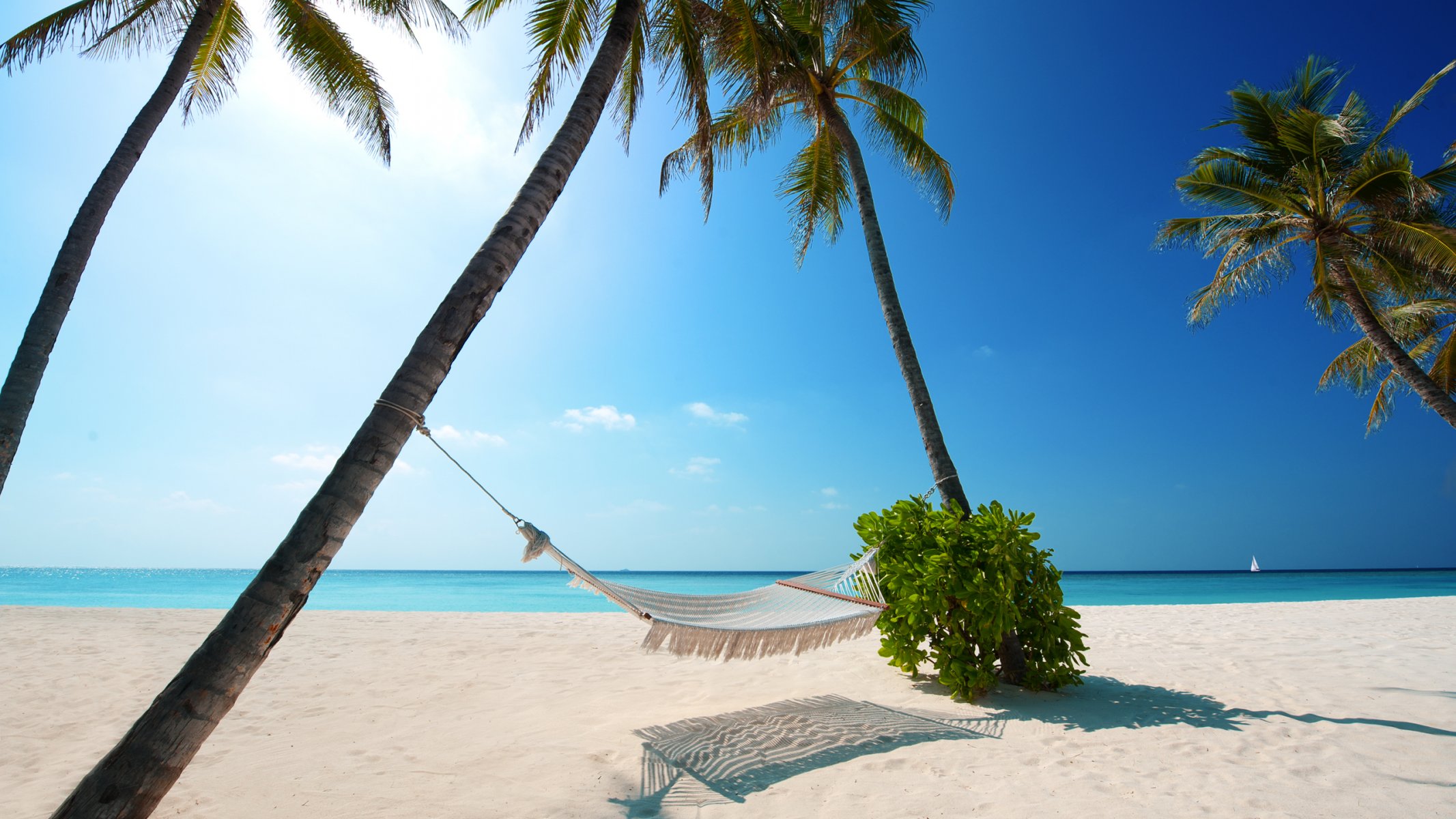 beaches white sand palm trees boat green plant hammock