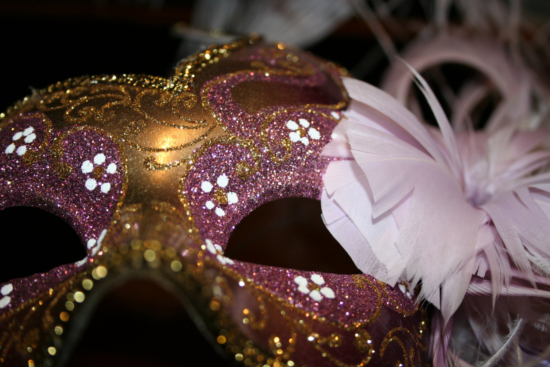 mask close up sequins feather