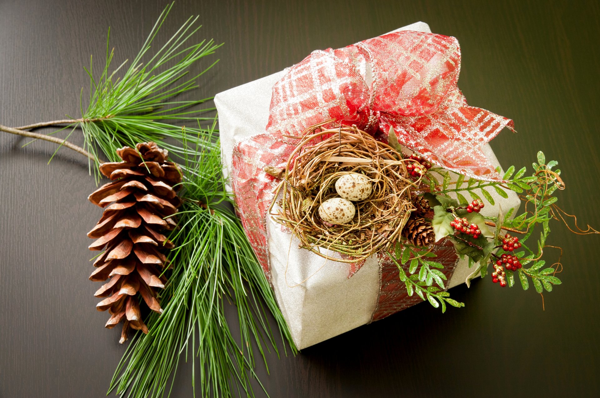 holidays new year christmas present box bow decor nest eggs branch pine bump