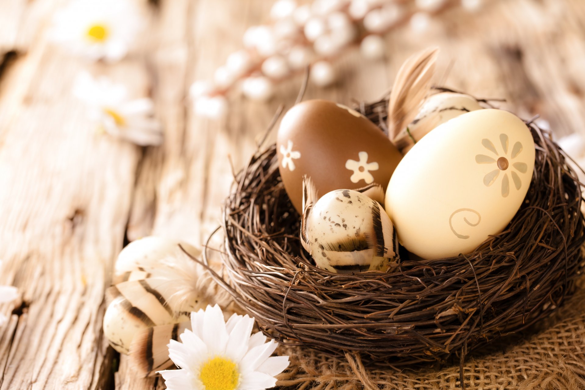 ostern eier baum blumen gänseblümchen