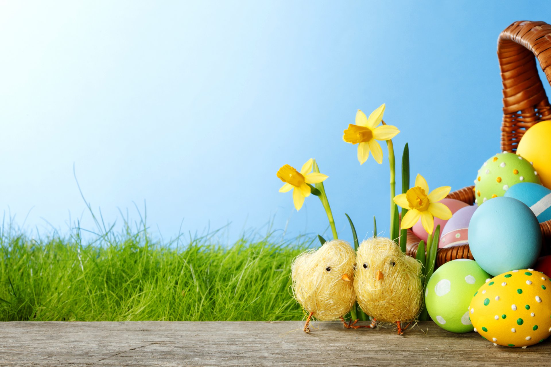 pascua primavera flores huevos colorido narcisos hierba springer primavera teñido pollos