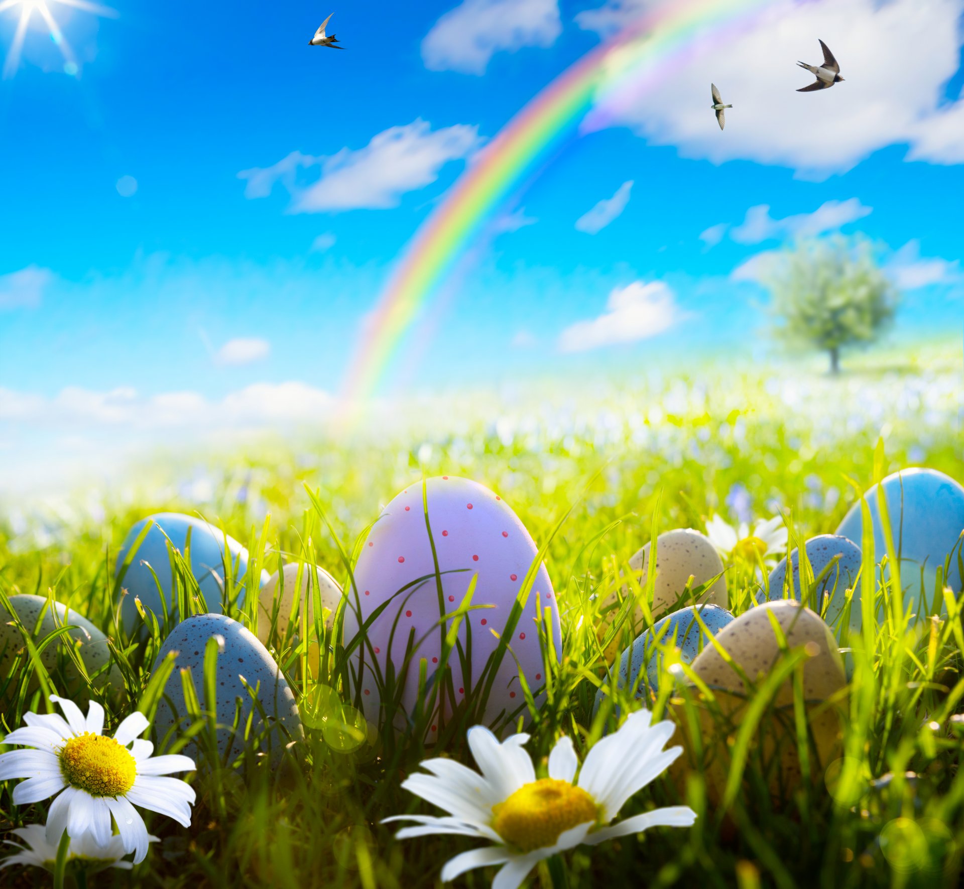 pasqua primavera sole prato erba fiori uova margherite margherita primavera