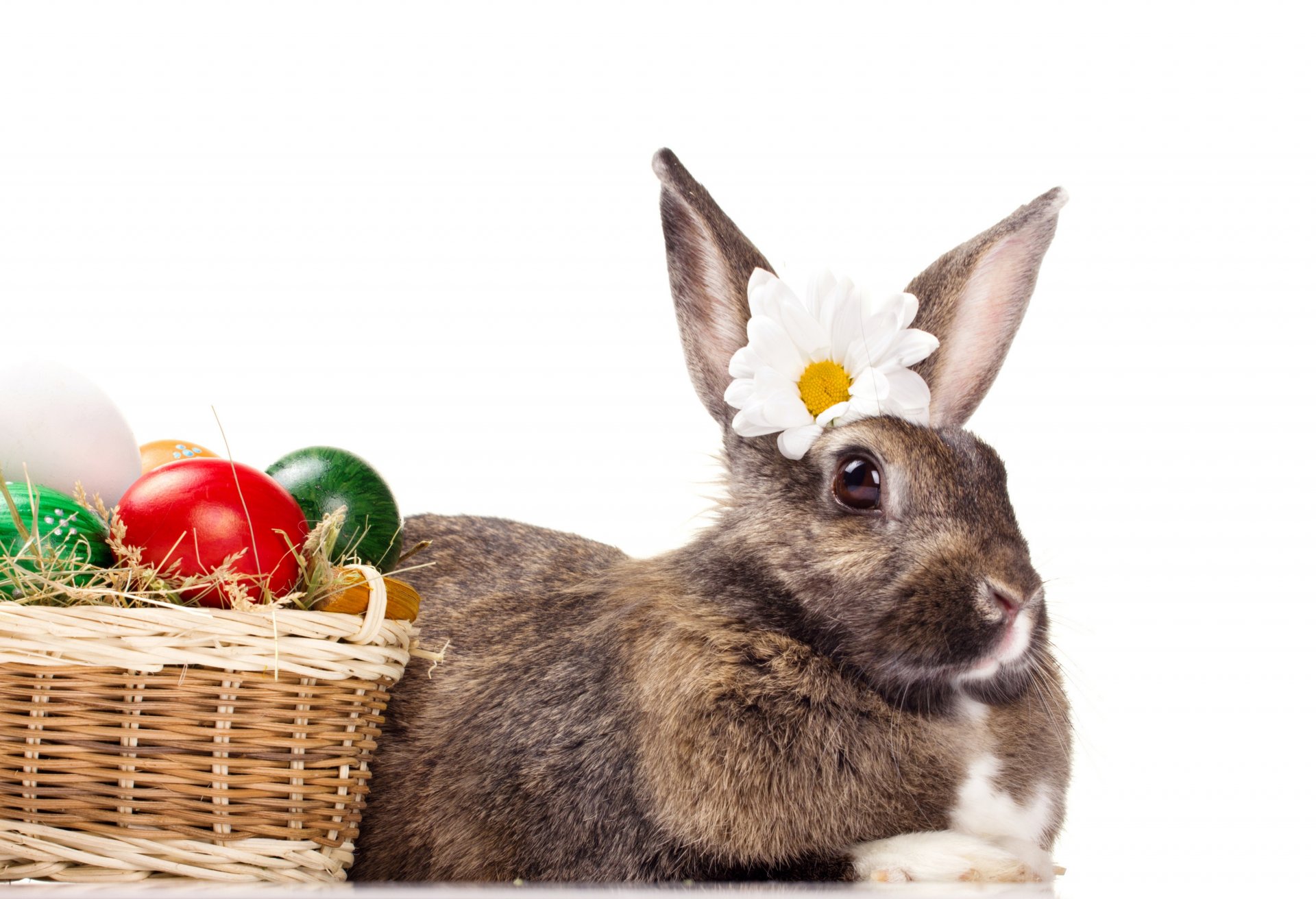 pascua huevos huevos de pascua