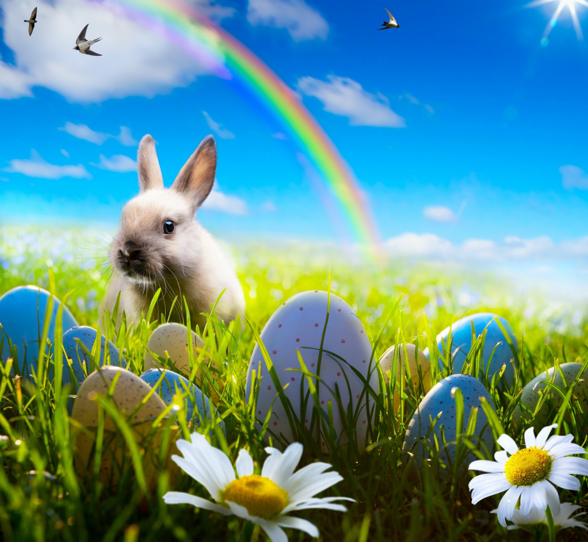 easter rabbit spring sun rainbow blue sky meadow grass flowers eggs daisies spring easter sky