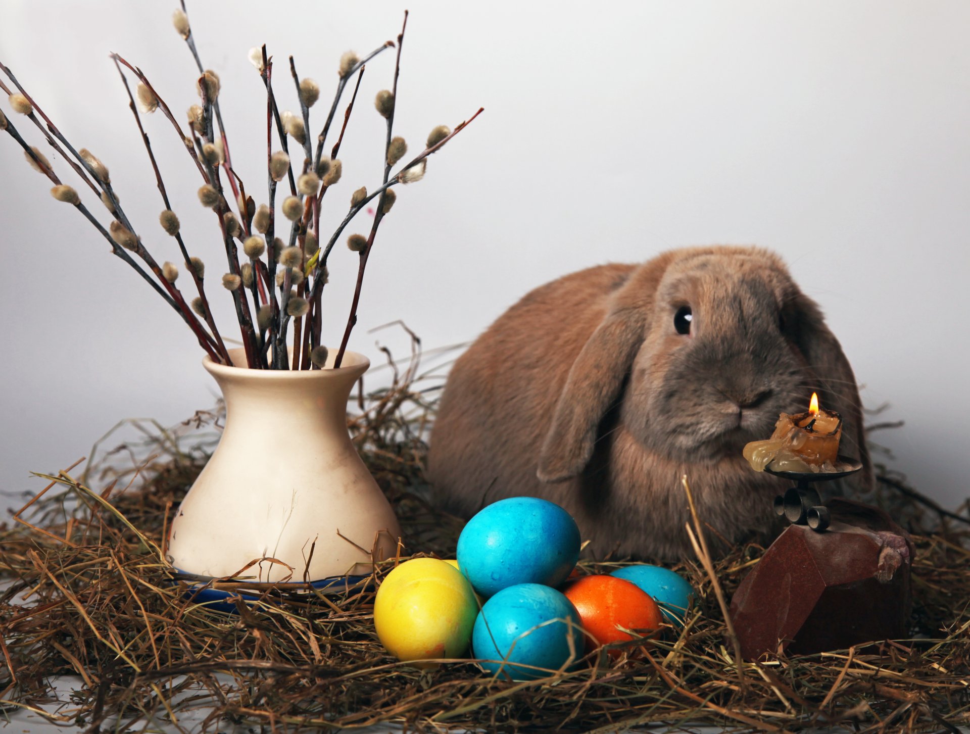 coniglio pasqua uovo candela salice vaso