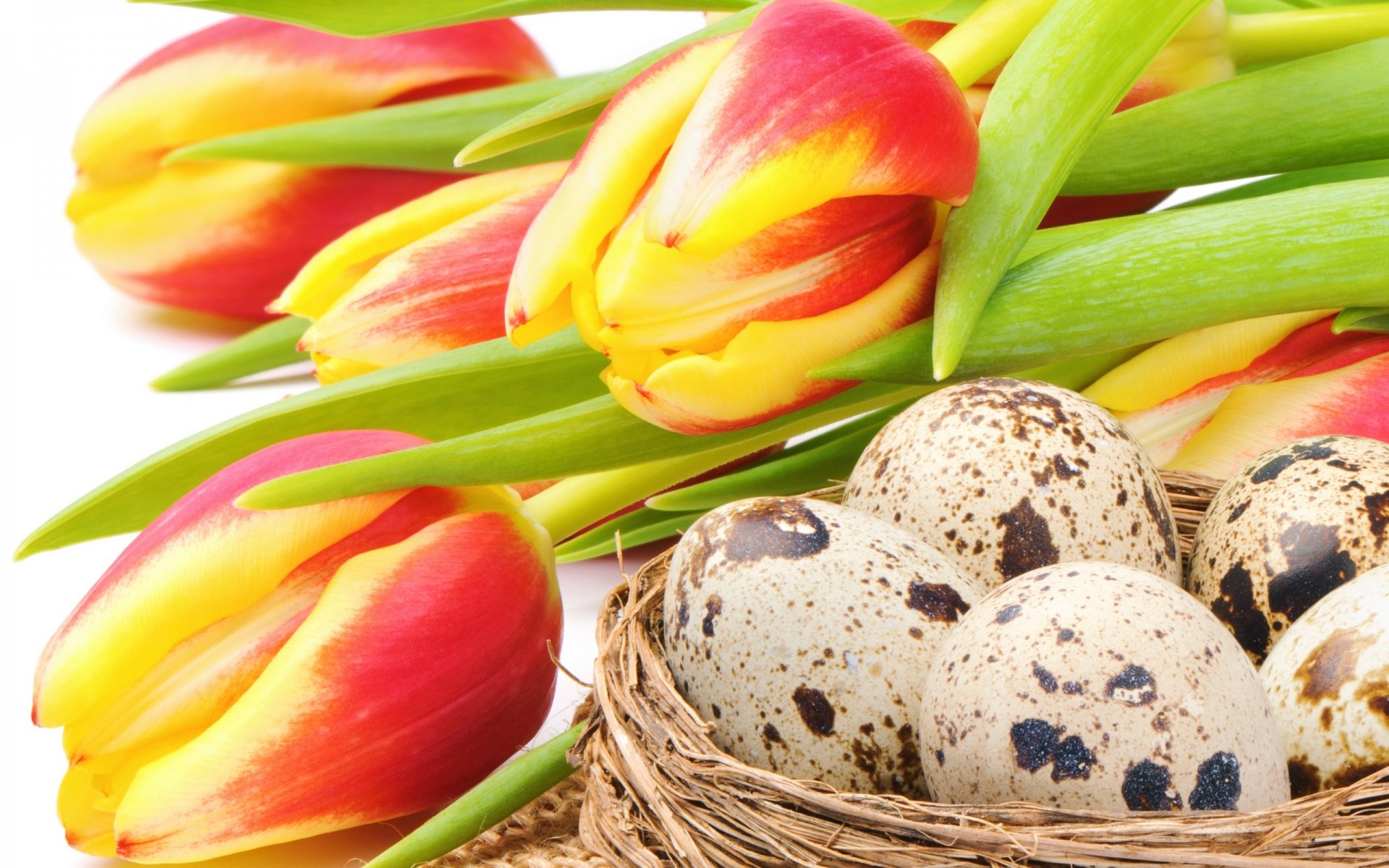 pasqua vacanze bouquet fiori tulipani rosso giallo uova nido vacanza rosso-giallo