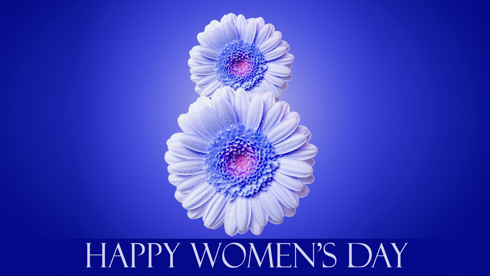 march 8 international women s day flower inscription blue background