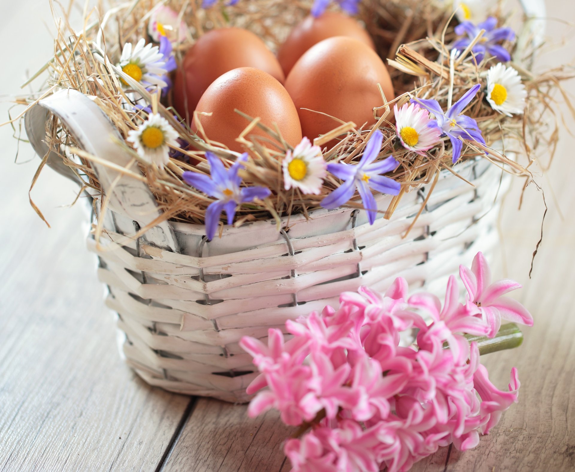 pascua huevos huevos de pascua