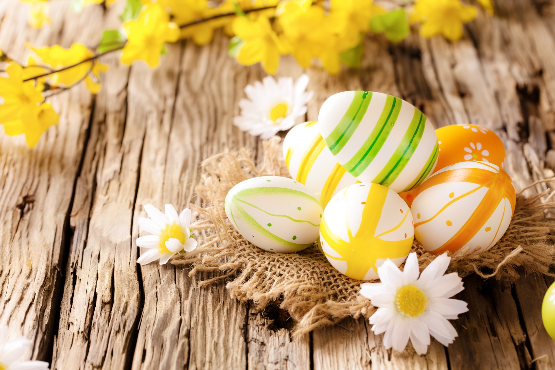 easter eggs tree flowers daisie