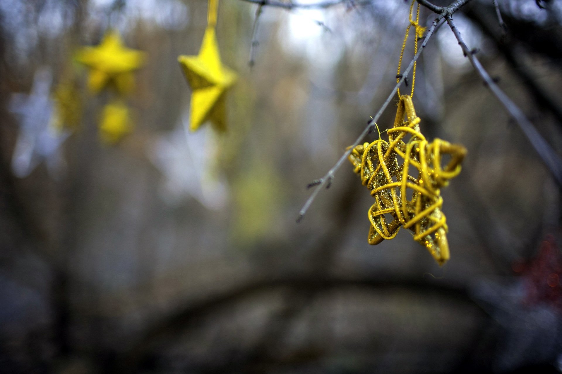 estrellas macro vacaciones