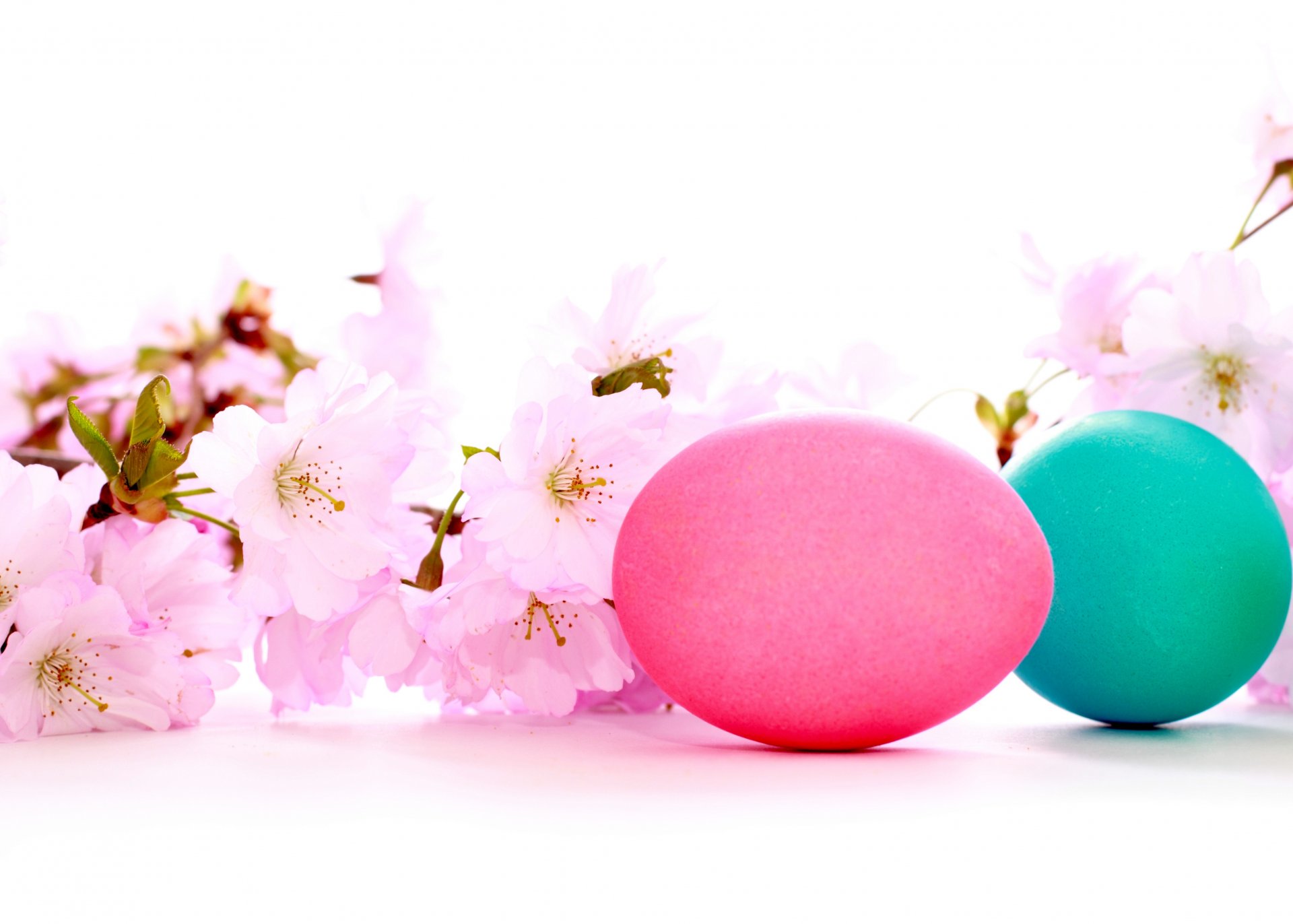 holiday easter cherry blossoms colored balls beauty