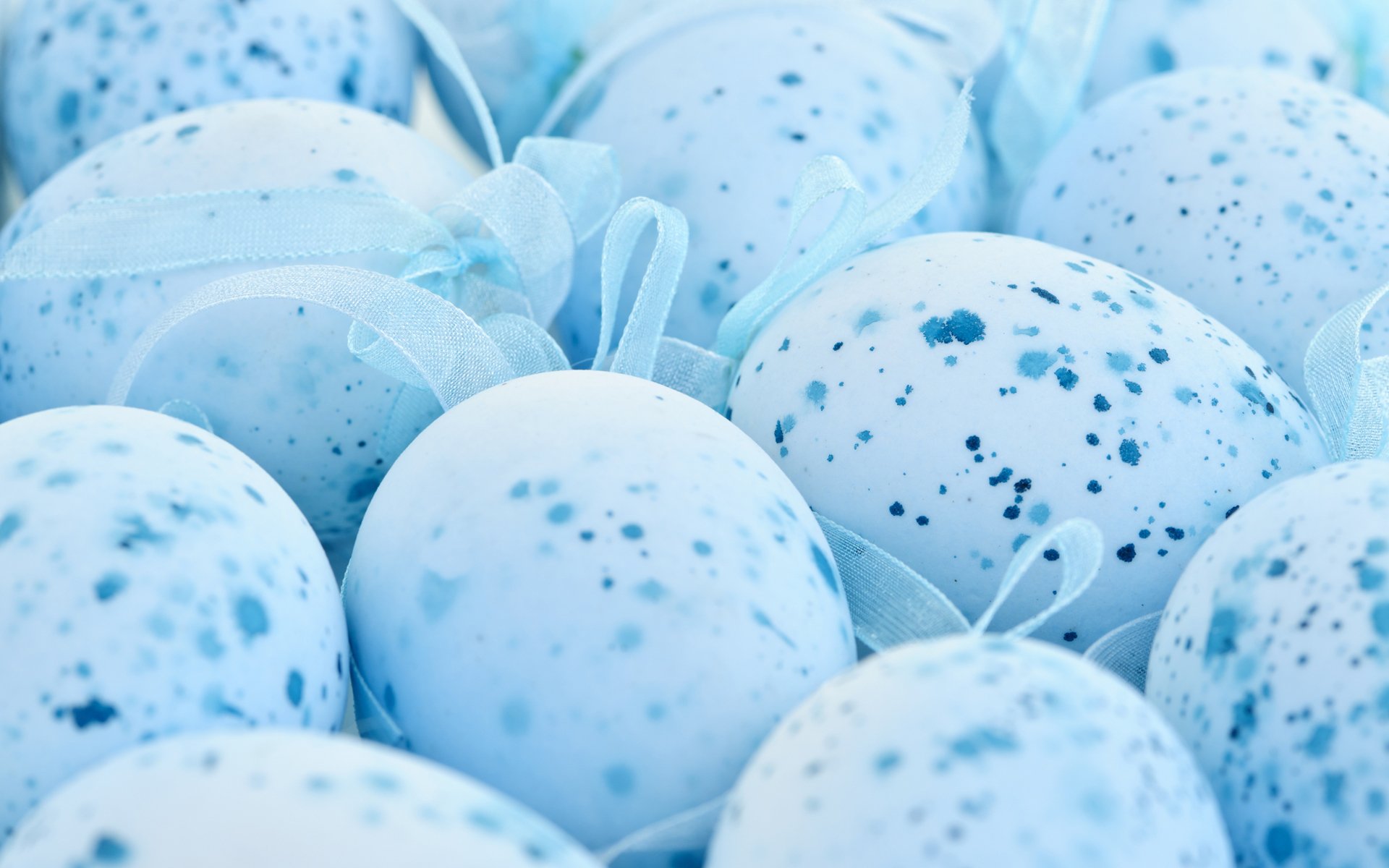 easter blue eggs spots blue speck ribbon