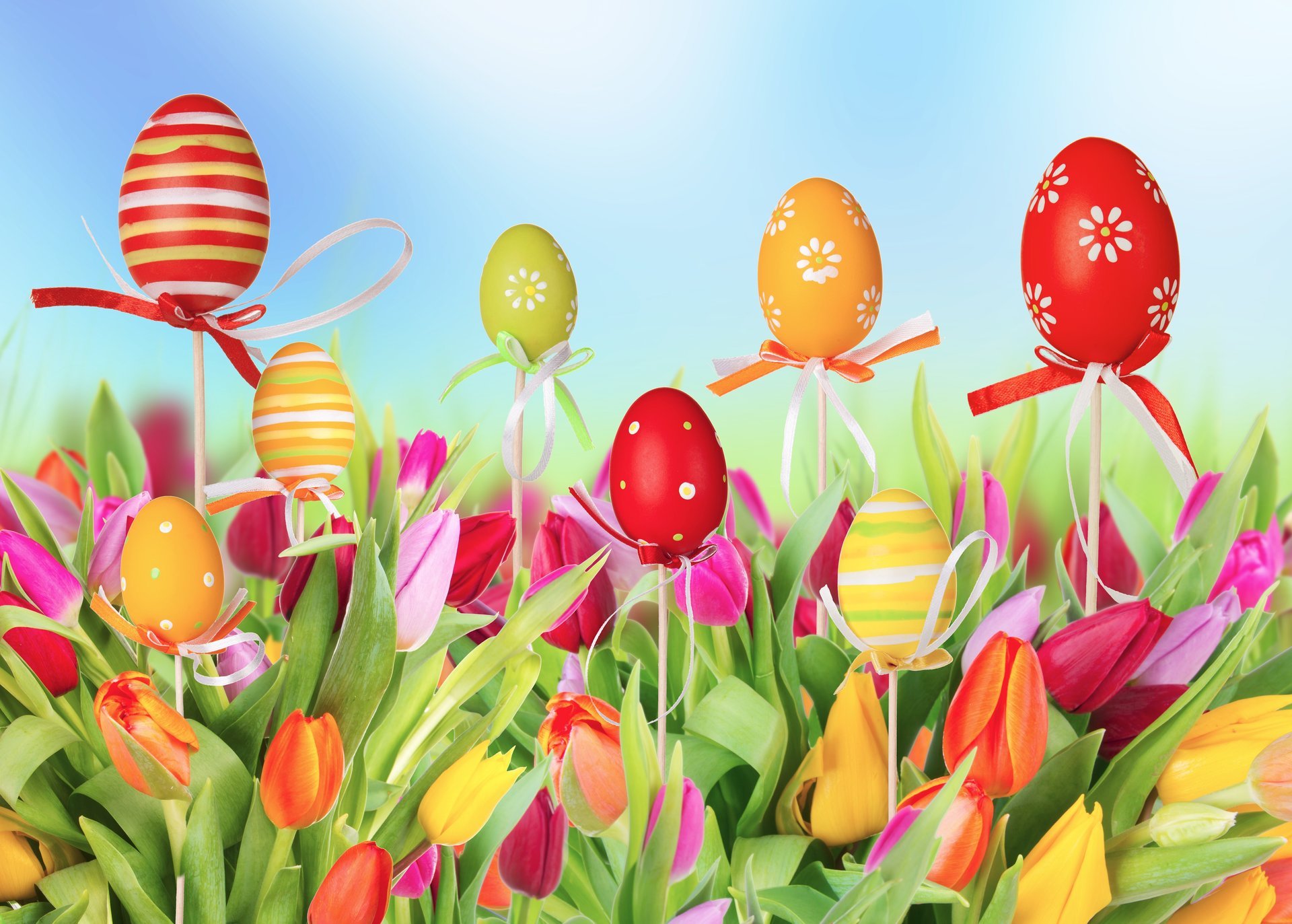 flower tulips easter eggs easter egg