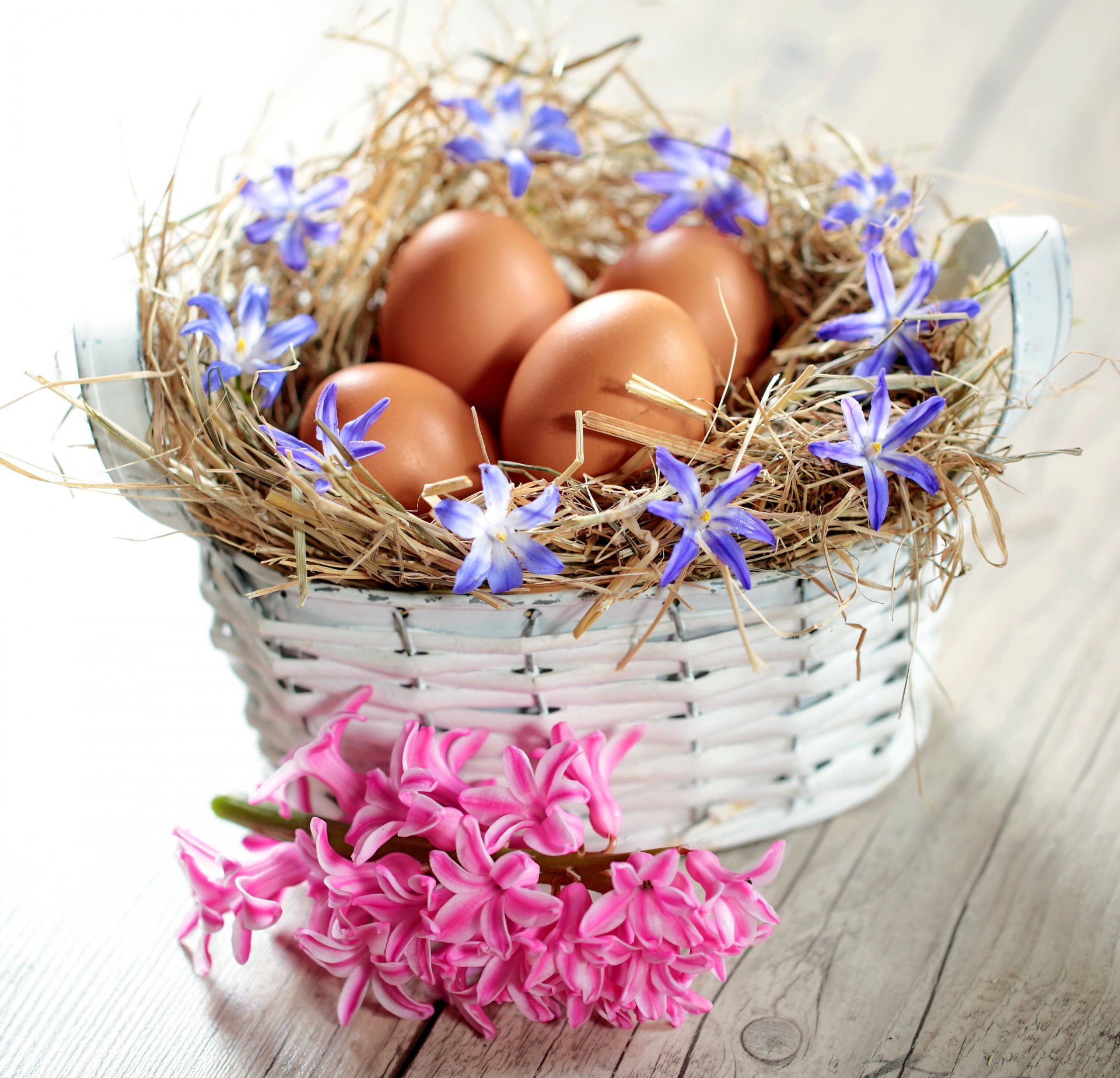 ostern frühling blumen eier pastell korb dünn frühling