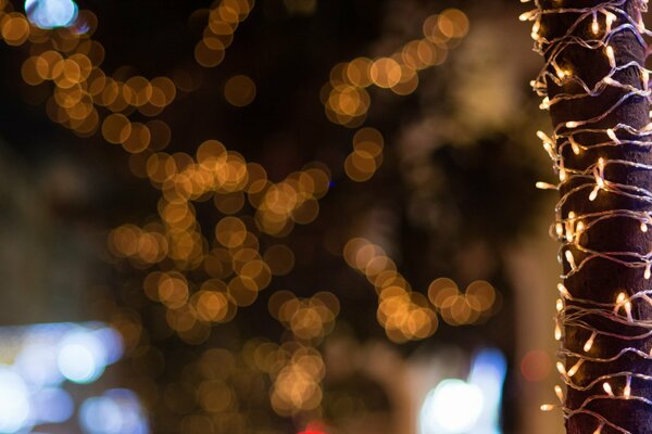 Brillo de las guirnaldas de Navidad en la ventana