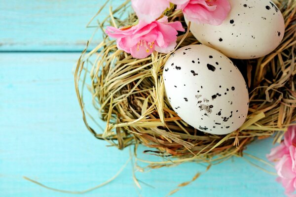 Huevos de Pascua en paja sobre fondo azul