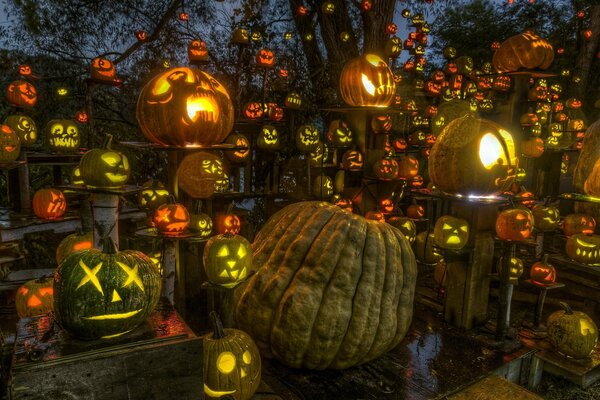 Carved faces on pumpkins for the holiday