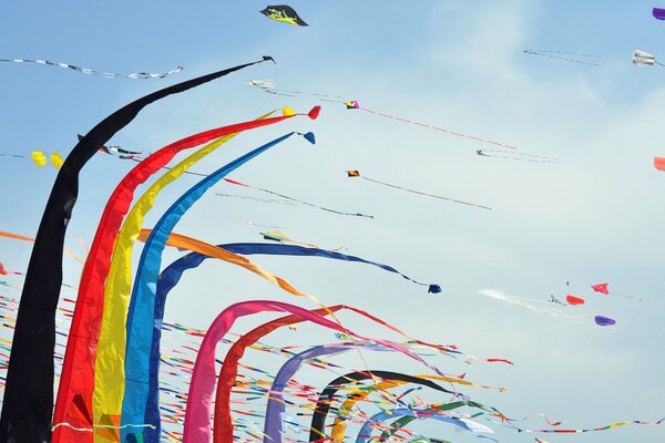 Festival of colorful, multicolored snakes