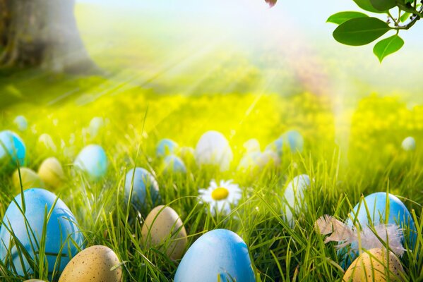 La hierba verde tiene huevos de Pascua y flores bajo el sol