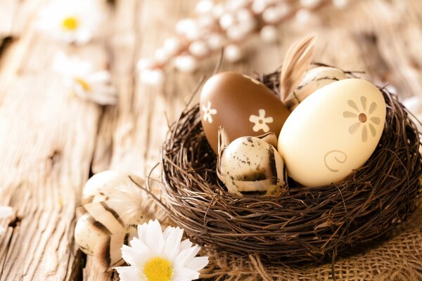 Easter eggs in the nest are brown