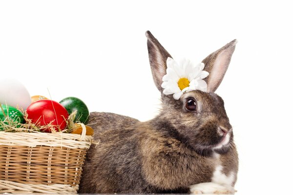 Lapin de Pâques avec fleur et panier