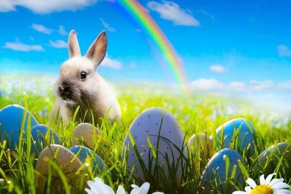 Vor dem Hintergrund der schönen Eier und Blumen im Gras sitzt ein Osterhase