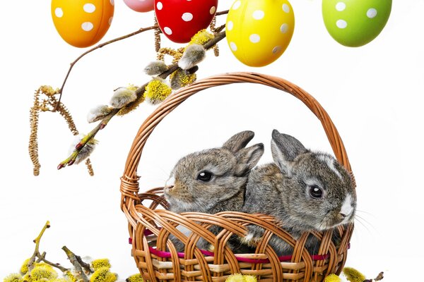 Petits lapins dans un panier de Pâques