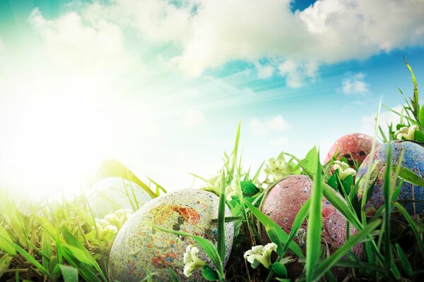 Huevos de Pascua en la hierba al sol