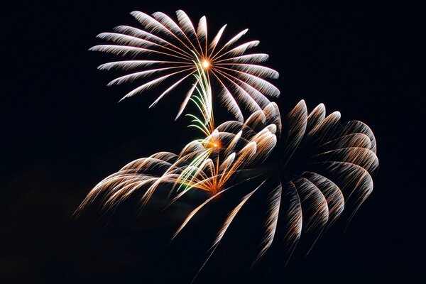 Beautiful fireworks in the night sky