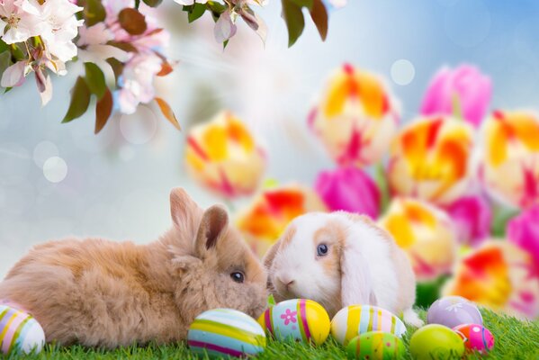 Flauschige Kaninchen auf Gras mit Ostereiern