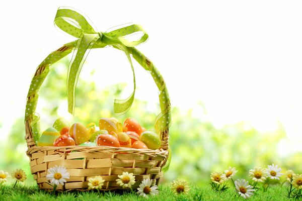 Panier de Pâques dans un champ de marguerites