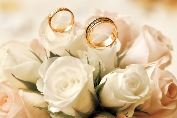 Нежнейшее фото из белых роз с обручальными кольцами